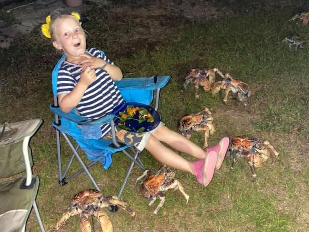 Lagi Asyik Pesta, Keluarga Ini Didatangi Gerombolan Kepiting Raksasa