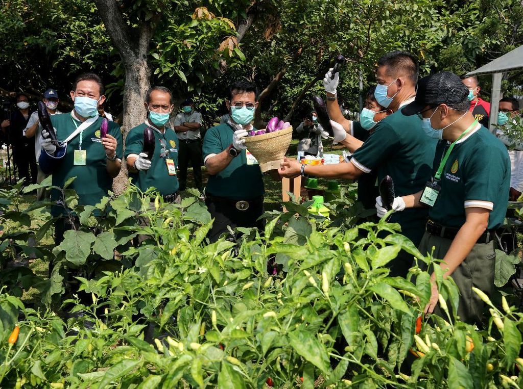 Mentan Dorong Pemberdayaan Petani Agar Sejahtera Mentan Dorong Pemberdayaan Petani Agar Sejahtera