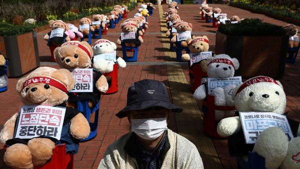 Puluhan Boneka Teddy Bear Ikutan Demo di Korsel