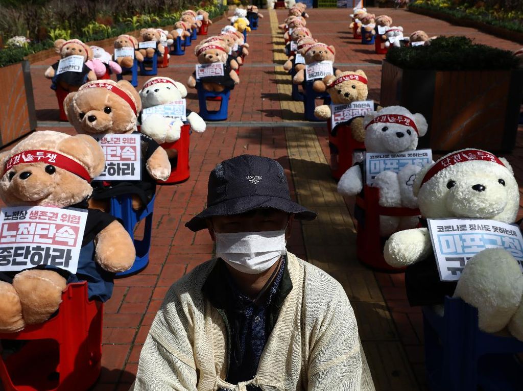 Puluhan Boneka Teddy Bear Ikutan Demo di Korsel