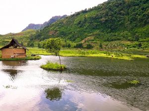 Tak Disangka, Ada Rawa Secantik Ini di Bogor