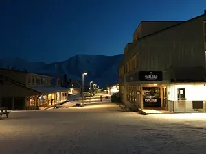 Mau Jadi Bos di Bar yang Suka Disinggahi Beruang Kutub?