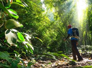 Rekomendasi Wisata Alam Sambil Mengenal Kekayaan Flora dan Fauna