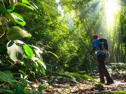 Rekomendasi Wisata Alam Sambil Mengenal Kekayaan Flora dan Fauna