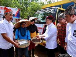 Di Tengah Pandemi, Banyuwangi Ekspor 600 Ton Kopi ke Eropa