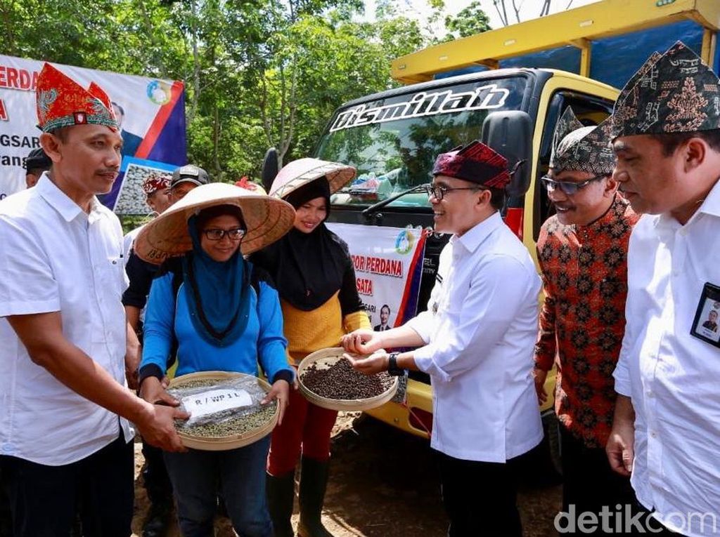 Di Tengah Pandemi, Banyuwangi Ekspor 600 Ton Kopi ke Eropa Di Tengah Pandemi, Banyuwangi Ekspor 600 Ton Kopi ke Eropa