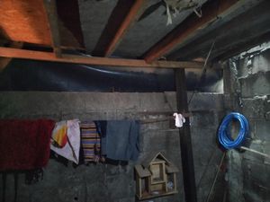 Cerita Tauhid soal Detik-detik Penemuan Sanca 4 Meter Terjepit di Dinding