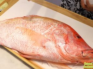 Wow! YouTuber Ini Mukbang Ikan Kakap Goreng 7 Kg Wow! YouTuber Ini Mukbang Ikan Kakap Goreng 7 Kg