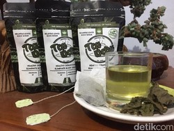 Mahasiswa Surabaya Olah Daun Beluntas Jadi Teh Nikmat Kaya Khasiat