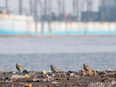 Potret Kehidupan Penghuni Pesisir Jakarta