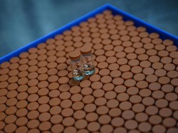 Terungkap! Ini Jadwal Suntik Vaksin Merah Putih