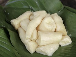 Tape Singkong Halal Tapi Bisa Jadi Makanan Haram