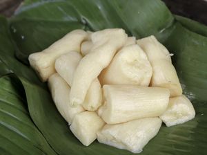 Tape Singkong Halal Tapi Bisa Jadi Makanan Haram Tape Singkong Halal Tapi Bisa Jadi Makanan Haram