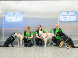 Studi Terbaru: Anjing Dapat Mendeteksi Penderita PTSD Melalui Aroma