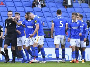 Brighton Apes Banget