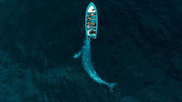 Suguhan Karya Jawara Kontes Drone Bikin Mata Terpana