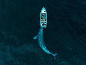 Suguhan Karya Jawara Kontes Drone Bikin Mata Terpana