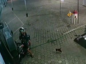 Viral Pemuda di Bondowoso Tiap Malam Beri Makan Kucing Liar Viral Pemuda di Bondowoso Tiap Malam Beri Makan Kucing Liar