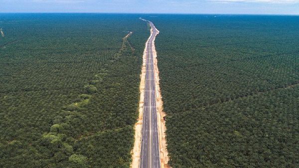Wuzzz! Ini Tol Pekanbaru-Dumai yang Baru Diresmikan Jokowi