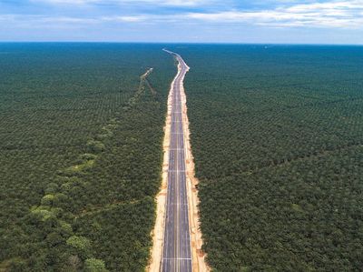 Wuzzz! Ini Tol Pekanbaru-Dumai yang Baru Diresmikan Jokowi