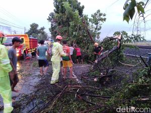 Jebol Disapu Angin Kencang, Atap Rumah Warga Bojonegoro Diganti Terpal Jebol Disapu Angin Kencang, Atap Rumah Warga Bojonegoro Diganti Terpal