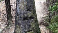 10 Pareidolia yang Bikin Bingung, Lihat Wajah di Sebuah Benda