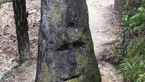 10 Pareidolia yang Bikin Bingung, Lihat Wajah di Sebuah Benda