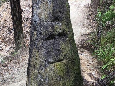 10 Pareidolia yang Bikin Bingung, Lihat Wajah di Sebuah Benda