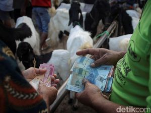 Geliat Jual Beli Kambing di Purworejo Saat Pandemi COVID-19