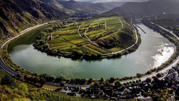 Melihat Indahnya Perkebunan Anggur di Lereng Jerman