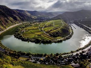 Melihat Indahnya Perkebunan Anggur di Lereng Jerman