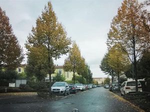 Indahnya Musim Gugur di Jerman