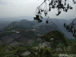 Mitos Siluman Gagak di Balik Keindahan Bukit Mercury