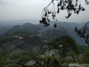 Mitos Siluman Gagak di Balik Keindahan Bukit Mercury Mitos Siluman Gagak di Balik Keindahan Bukit Mercury