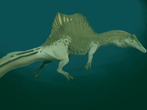 Temuan Ribuan Gigi Dinosaurus Ungkap Keberadaan Monster Sungai