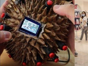 Setelah Semangka, Mahasiswa Ini Berhasil Ciptakan Game Boy Durian Setelah Semangka, Mahasiswa Ini Berhasil Ciptakan Game Boy Durian