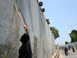 Cara Bersihkan Dinding Kusam karena Debu dan Kotoran Hewan Tanpa Cat Ulang