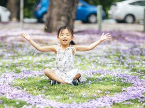 5 Tempat Menarik Melihat Jacaranda Mekar di Queensland, Australia