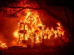 Ganasnya Api Silverado, 100 Ribu Warga California Dievakuasi