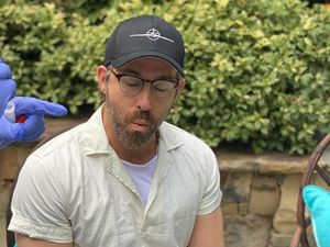 Ryan Reynolds Debut Jadi Penulis Cerita Anak Winnie the Screwed