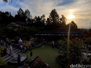 Foto: Indahnya Panorama Alam dari Lereng Merbabu Foto: Indahnya Panorama Alam dari Lereng Merbabu