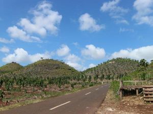 Pesona Alam Bukit Teletubbies Gunungkidul