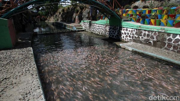 Daya Tarik Wisata Sungai Water Gong Klaten Jawa Tengah