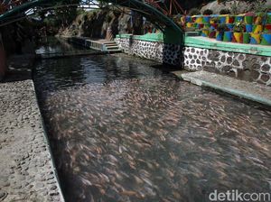 Daya Tarik Wisata Sungai Water Gong Klaten Jawa Tengah