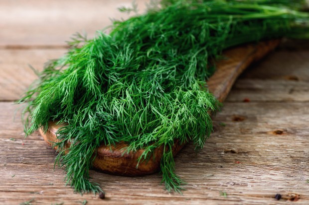 Rasa segar seperti rasa yang terdapat pada seledri dan fennel, menjadikan dill sebagai alternatif pengganti garam yang memberikan aroma untuk masakan kamu.