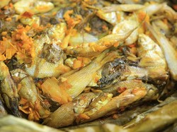 7 Fakta Ikan Wader Terancam Punah gegara Limbah