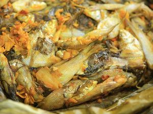 7 Fakta Ikan Wader Terancam Punah gegara Limbah 7 Fakta Ikan Wader Terancam Punah gegara Limbah