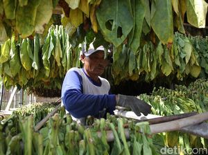 Kabar Revisi PP 109/2021 Mencuat, Komisi IV Minta Pemerintah Hati-hati Kabar Revisi PP 109/2021 Mencuat, Komisi IV Minta Pemerintah Hati-hati