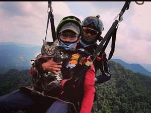 Kucing Peliharaan Unik Ini Viral, Suka Naik Gunung Hingga Coba Flying Fox