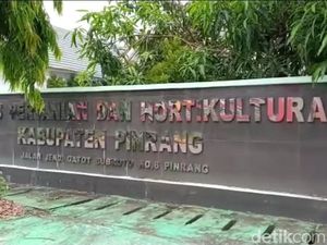 Ada ASN Positif Covid-19, Kantor Dinas Pertanian di Pinrang Ditutup